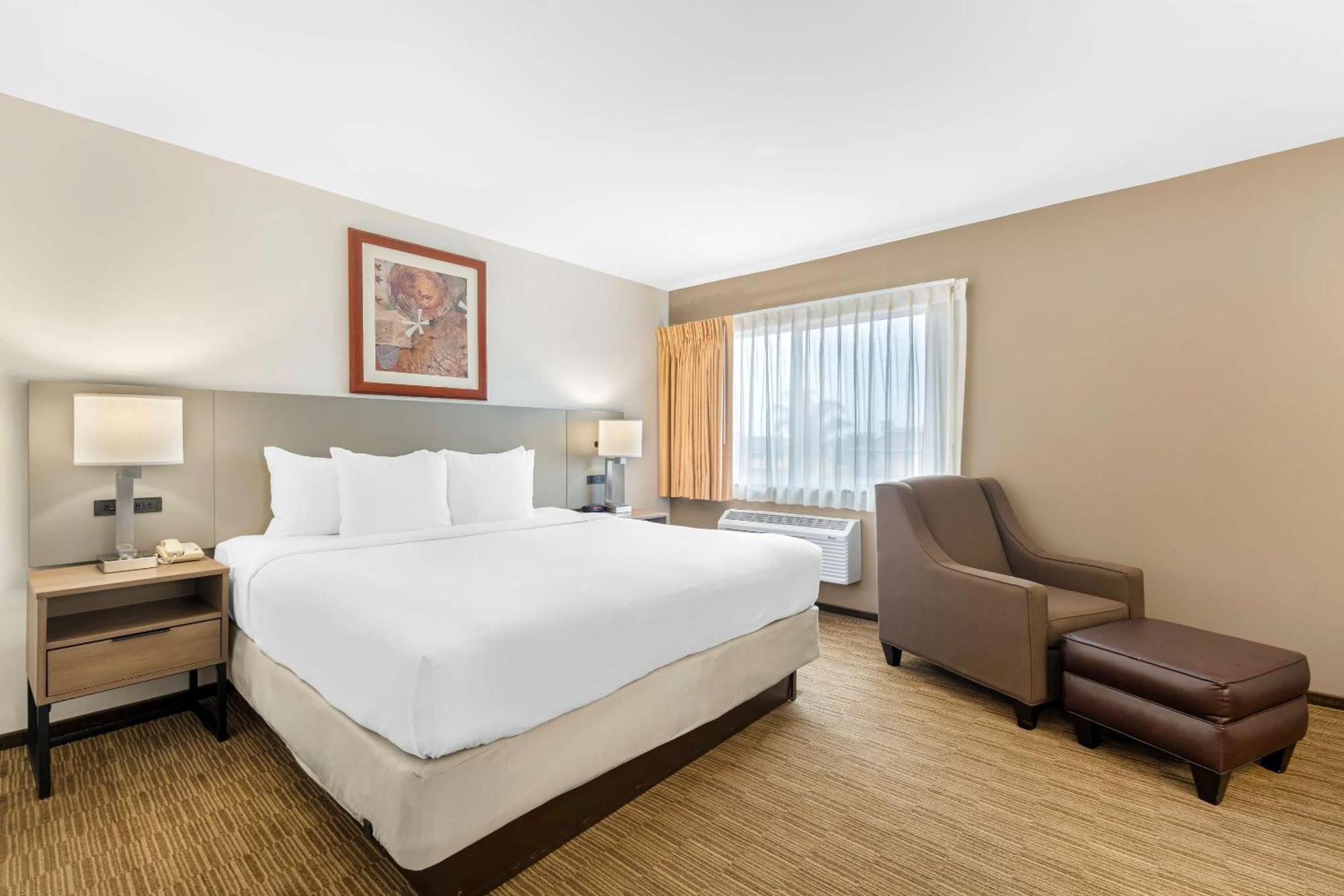 Comfort Inn Cockatoo Near Lax Airport Hawthorne Dış mekan fotoğraf