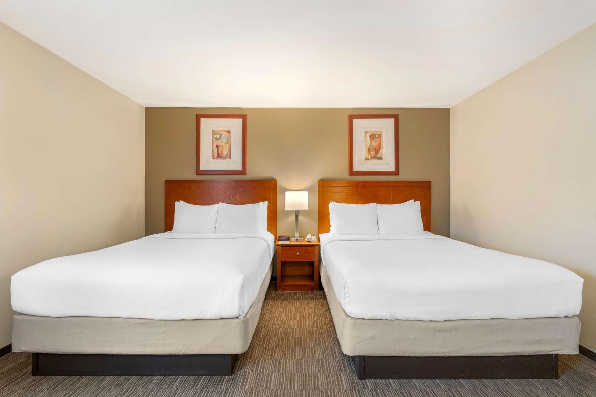 Comfort Inn Cockatoo Near Lax Airport Hawthorne Dış mekan fotoğraf