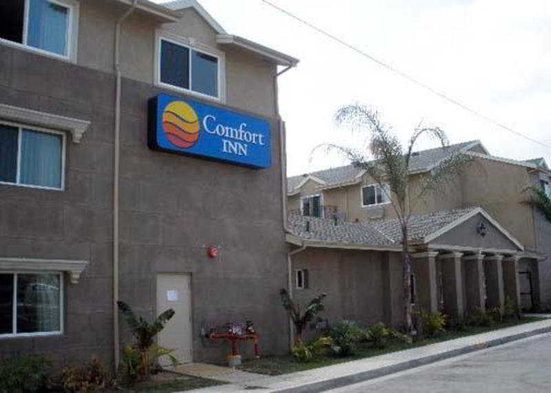 Comfort Inn Cockatoo Near Lax Airport Hawthorne Dış mekan fotoğraf