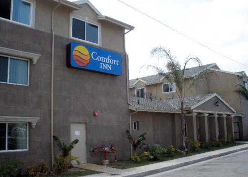 Comfort Inn Cockatoo Near Lax Hawthorne Dış mekan fotoğraf